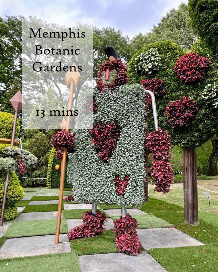 The Olive Bird Chalet In Central Gardens, Memphis Tn Dış mekan fotoğraf
