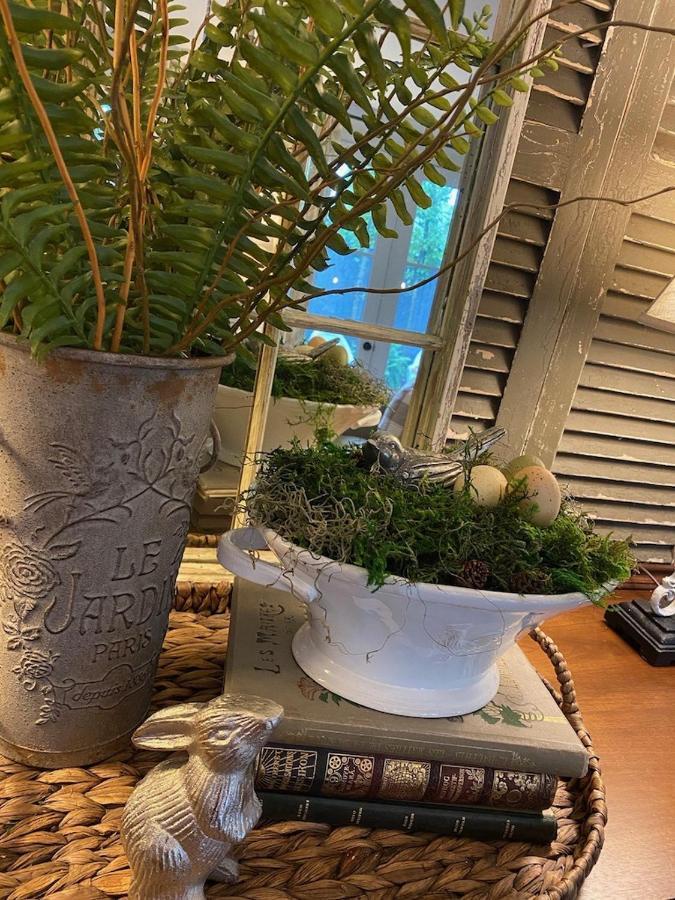 The Olive Bird Chalet In Central Gardens, Memphis Tn Dış mekan fotoğraf